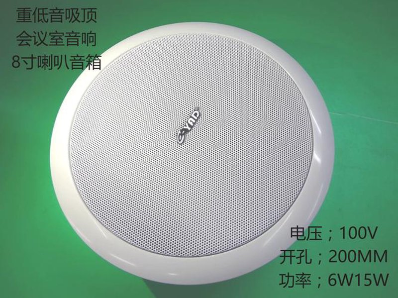 专业音响行业动态：从幕后走向台前